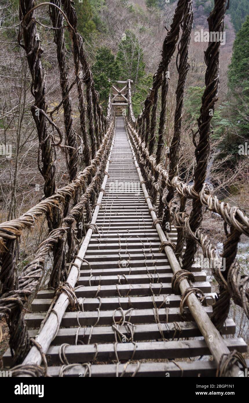 Die doppelten Weinbrücken, die Oku-Iya Niju Kazurabashi genannt werden, sind eine beliebte Sehenswürdigkeit in der Region des Iya-Tals in der Präfektur Tokushima in Japan Stockfoto