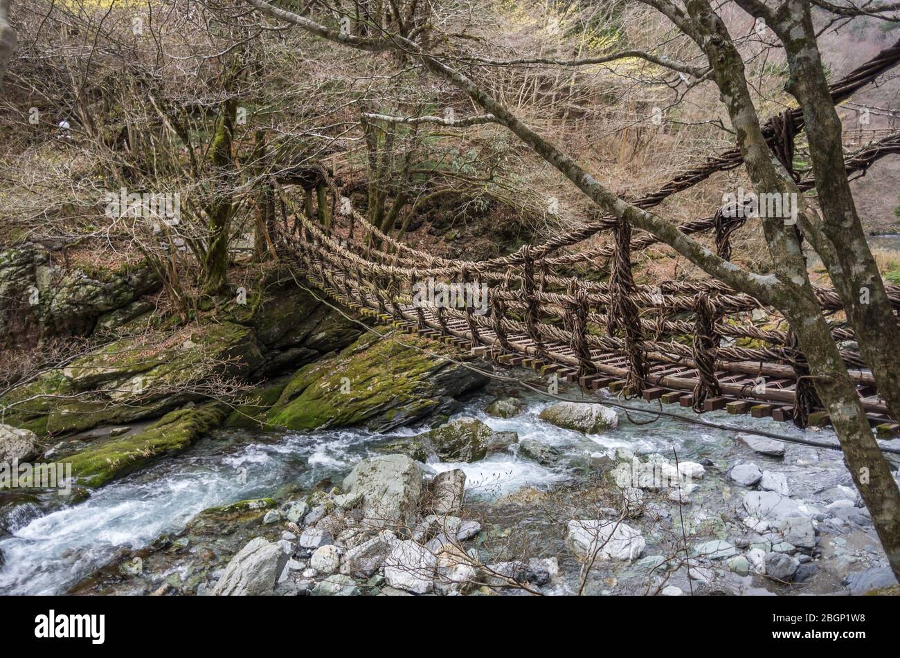 Die doppelten Weinbrücken, die Oku-Iya Niju Kazurabashi genannt werden, sind eine beliebte Sehenswürdigkeit in der Region des Iya-Tals in der Präfektur Tokushima in Japan Stockfoto