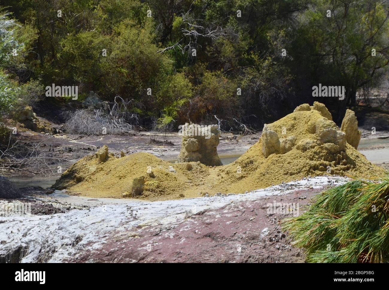Farbenfrohe Erde in vulkanischer Landschaft bei Wai-O-Tapu Neuseeland Stockfoto