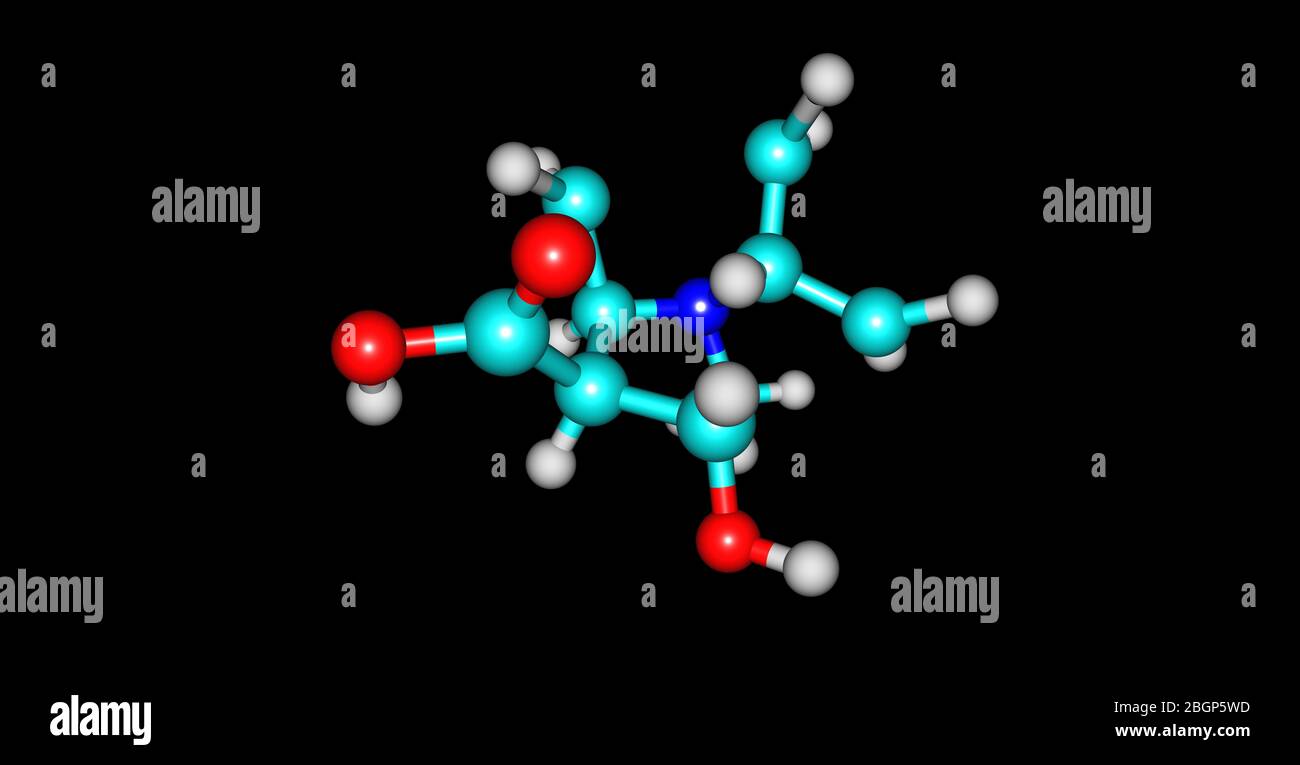 Ecgonin - Tropan-Derivat - ist ein Tropan-Alkaloid, das natürlich in Kokablättern vorkommt. Es hat eine enge strukturelle Beziehung zu Kokain. 3d-Darstellung Stockfoto