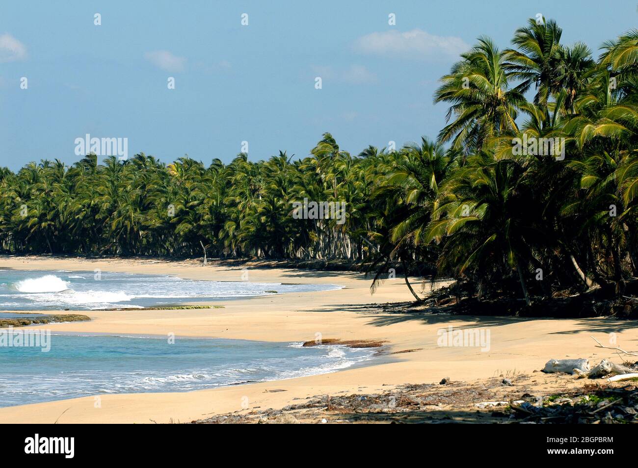 Strand, Punta Cana, Dominikanische Republik, Amerika, Karibik Stockfoto