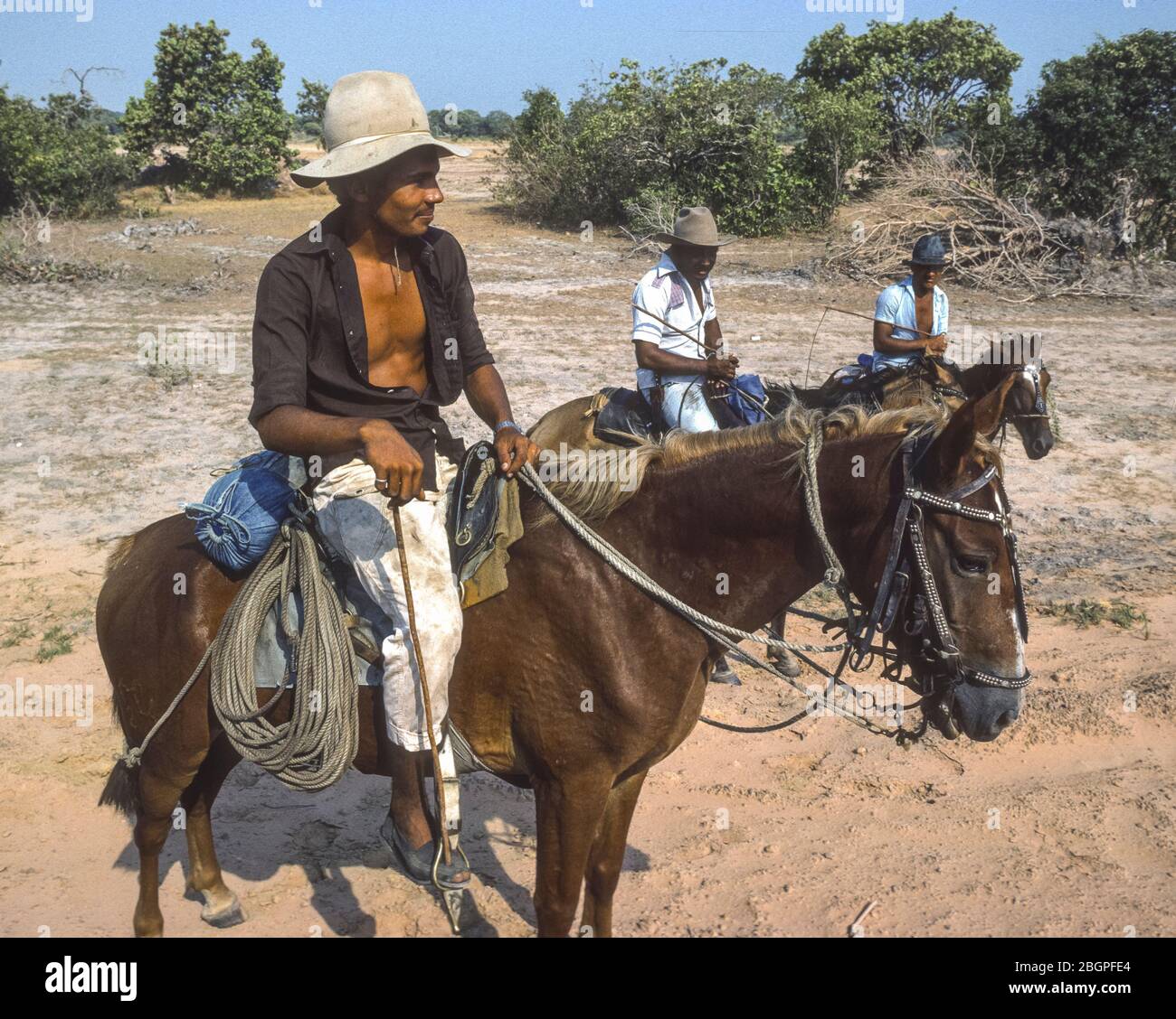 APURE STATE, VENEZUELA - Plains Cowboys auf dem Pferd auf llanos (Ebene) im Südwesten Venezuelas,1988. Stockfoto