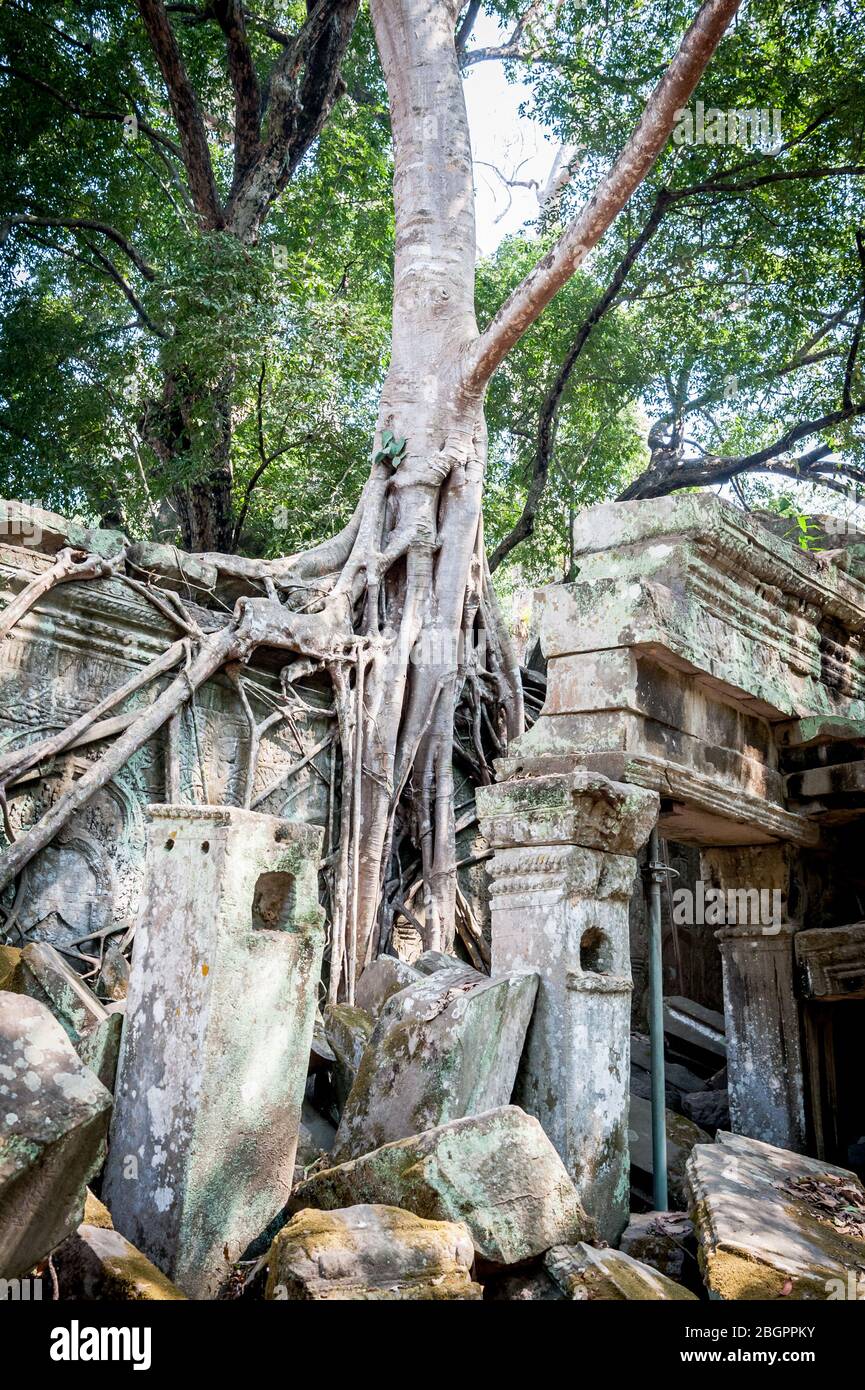 Blick auf den unglaublichen Angkor Wat Tempel in der Nähe von Siem Reap in Kambodscha. Stockfoto