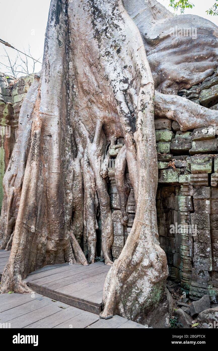 Blick auf den unglaublichen Angkor Wat Tempel in der Nähe von Siem Reap in Kambodscha. Stockfoto