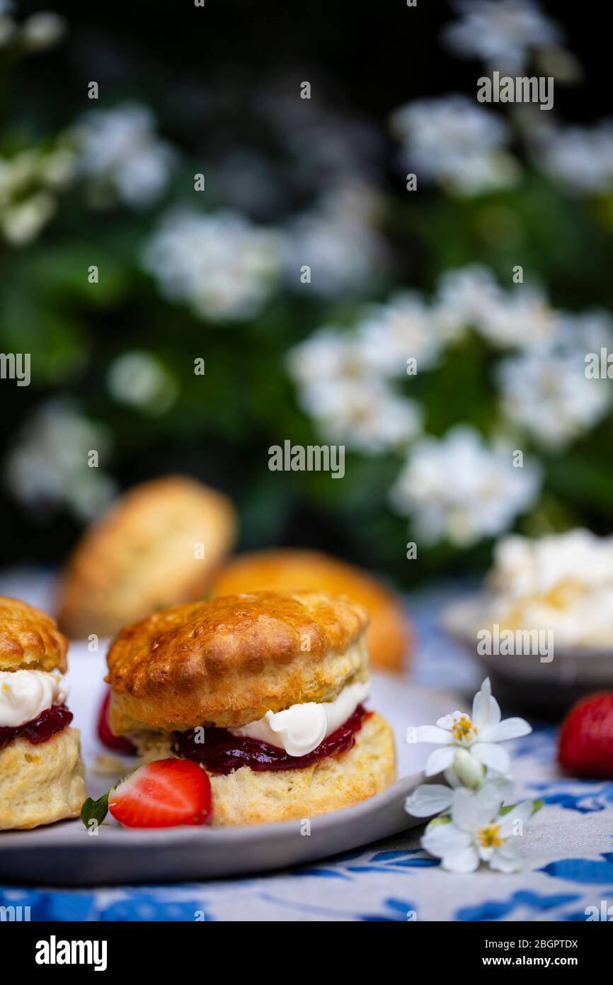 Britische Scones Stockfotos und -bilder Kaufen - Alamy