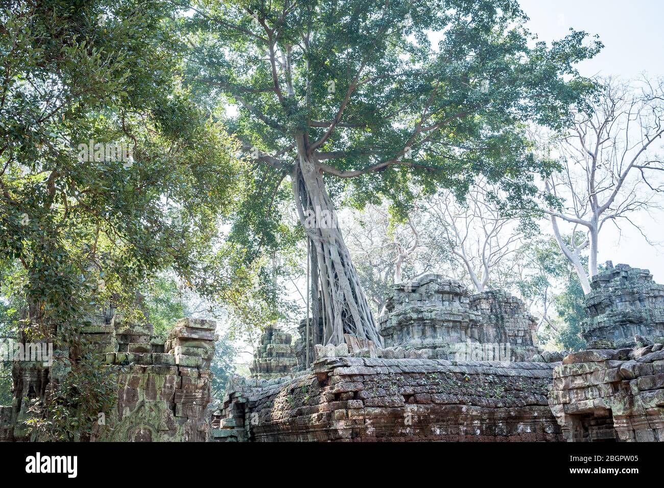 Blick auf den unglaublichen Angkor Wat Tempel in der Nähe von Siem Reap in Kambodscha. Stockfoto