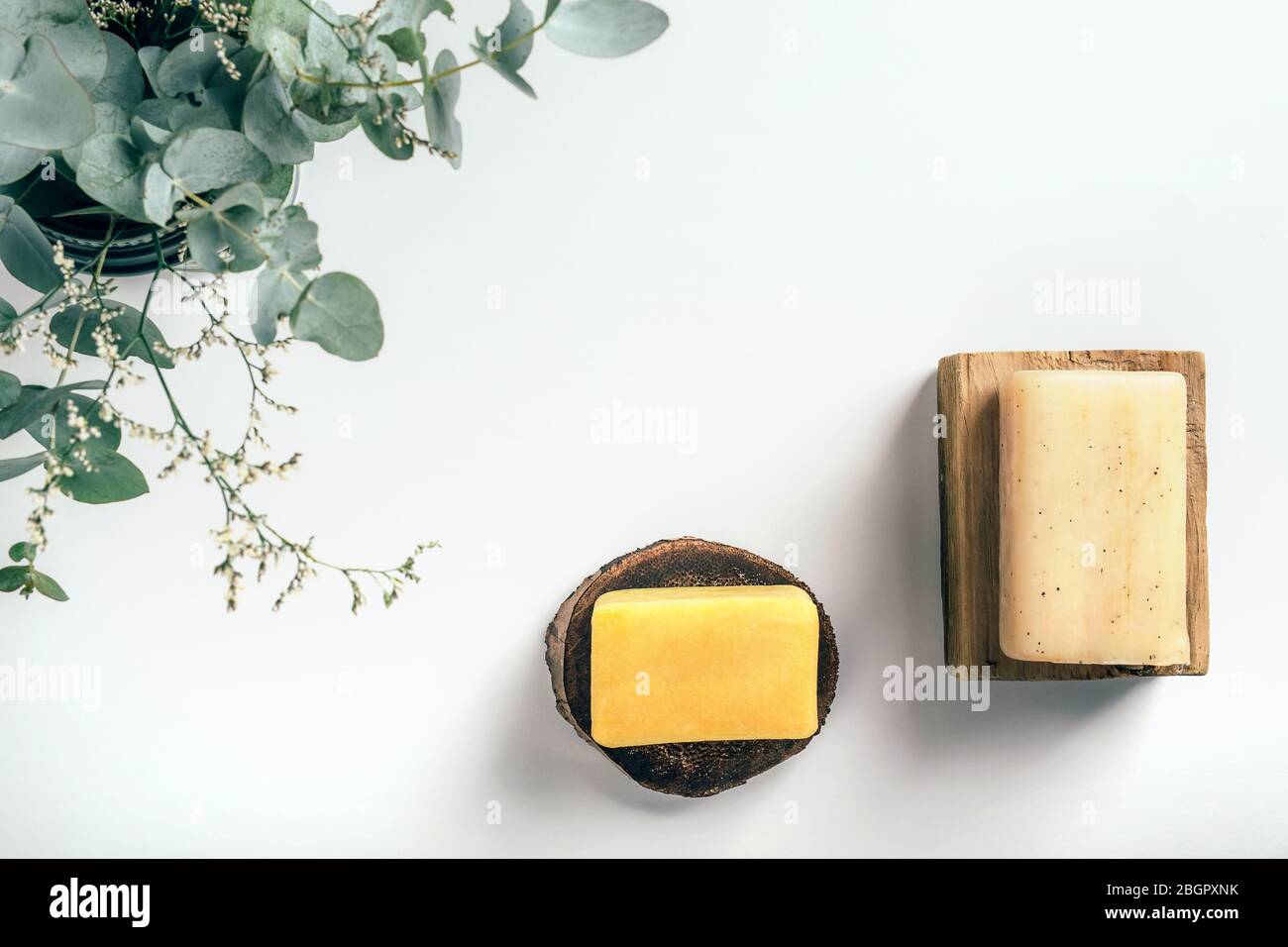 Seifenstücke auf Holzbalken mit Eukalyptus und Kräutern in der Ecke auf weißem Papier Hintergrund mit Kopierraum. Gesundheits- und Schönheitskonzept. Stockfoto