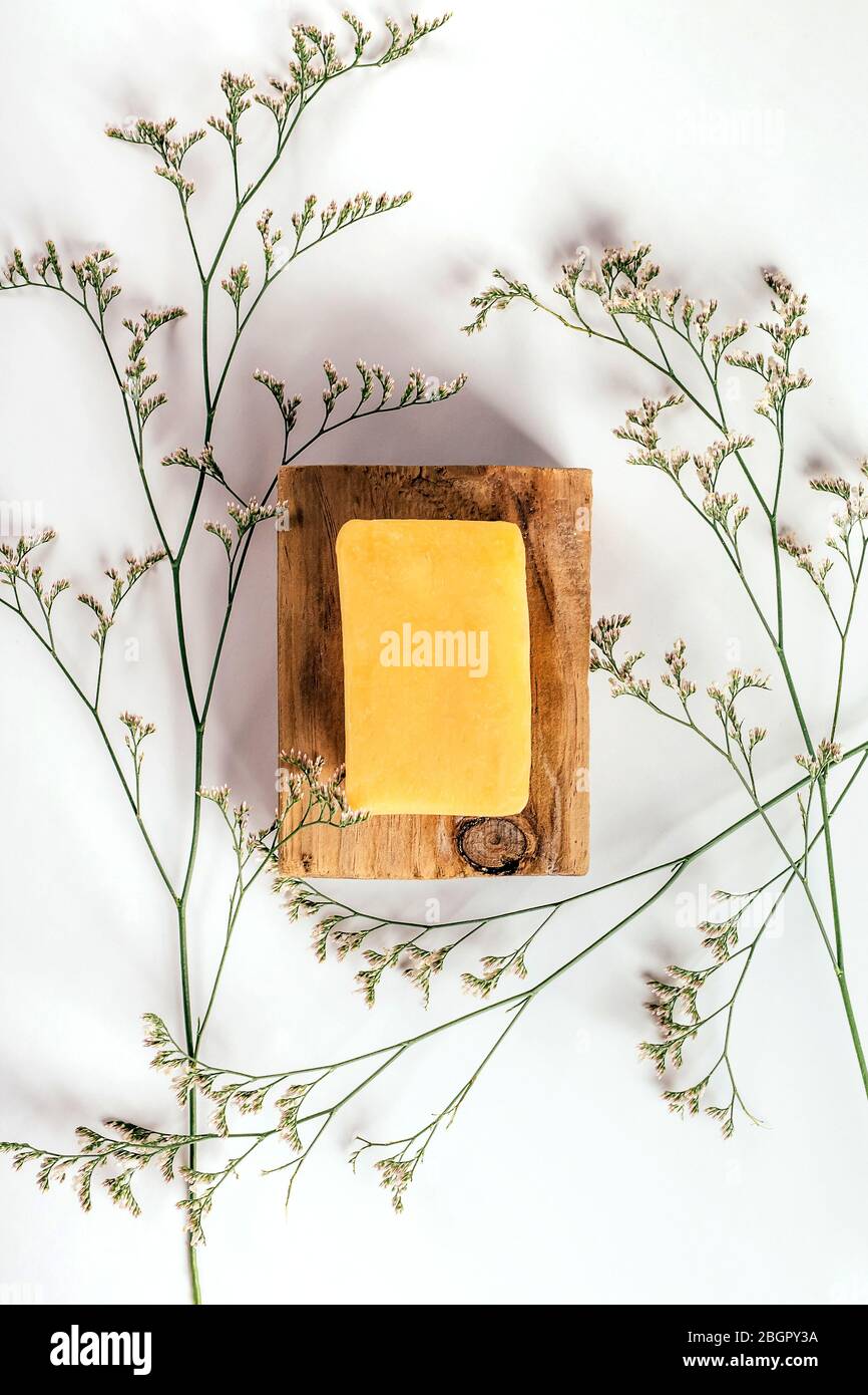 Stück Seife auf Holzstab und Kräuter herum auf weißem Papier Hintergrund. Gesundheits- und Schönheitskonzept. Stockfoto