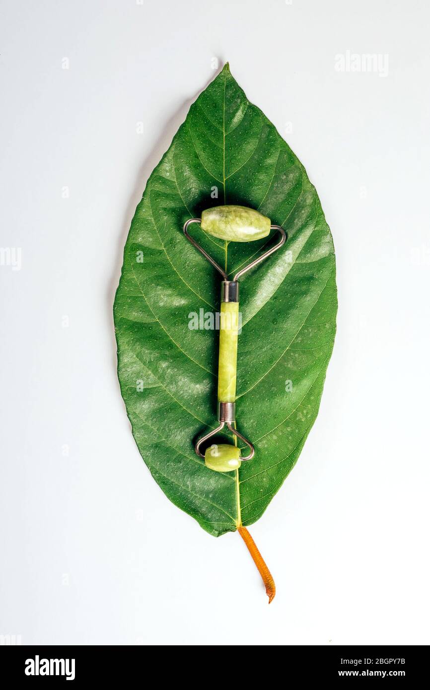 Gesichtsfarbe Grünstein Roller auf großen grünen Pflanzenblatt auf weißem Papier Hintergrund. Gesundheits- und Schönheitskonzept. Stockfoto