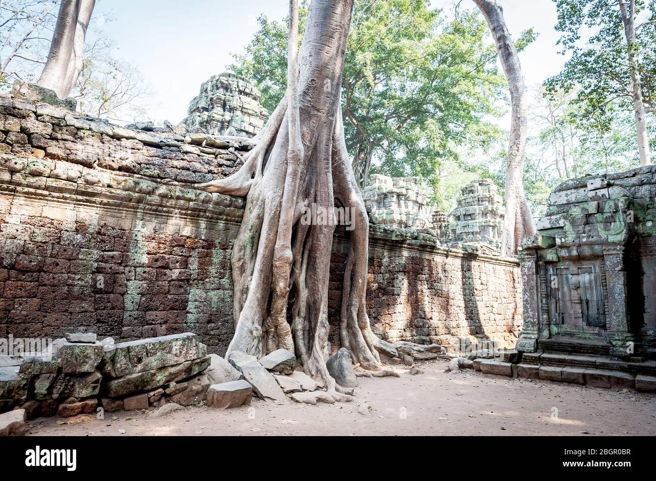Blick auf den unglaublichen Angkor Wat Tempel in der Nähe von Siem Reap in Kambodscha. Stockfoto