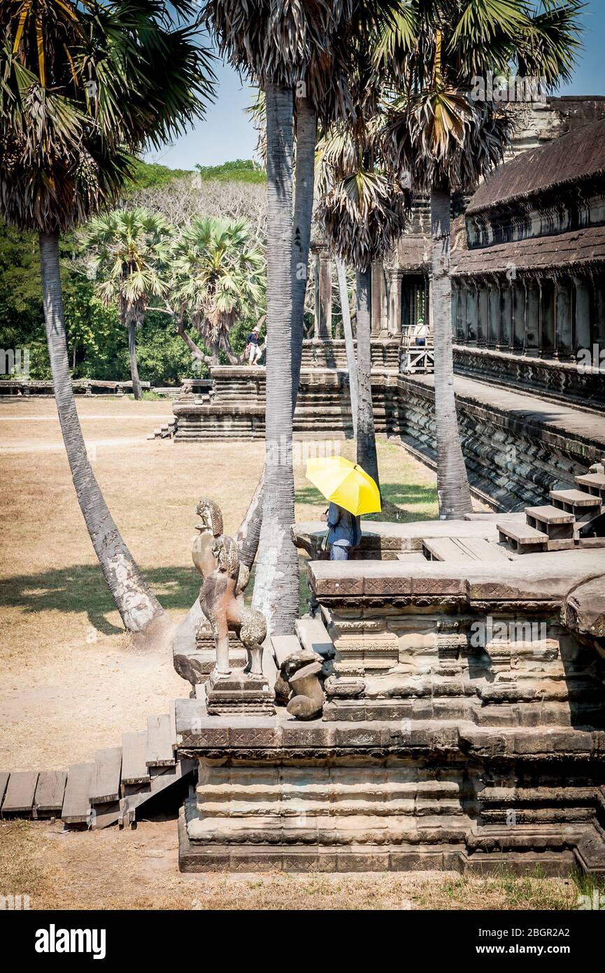 Ein Tourist, der einen Schirm für Schatten hält, geht die Stufen in den alten Ruinen von Angkor Wat, Kambodscha hinunter. Stockfoto