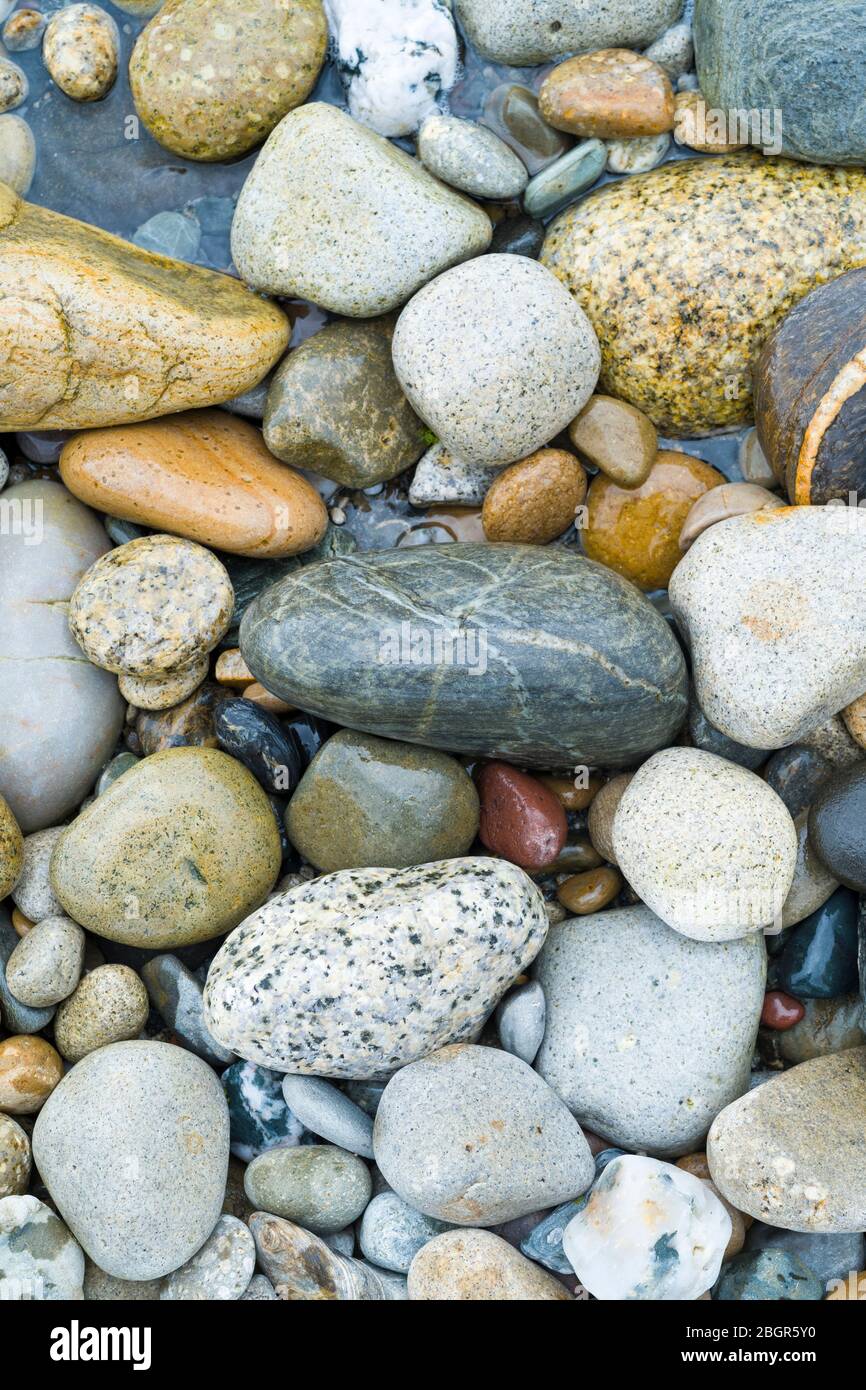 Kieselsteine in Pastelltönen bilden an der Küste der Isle of Arran, Schottland, kurvige Formen Stockfoto