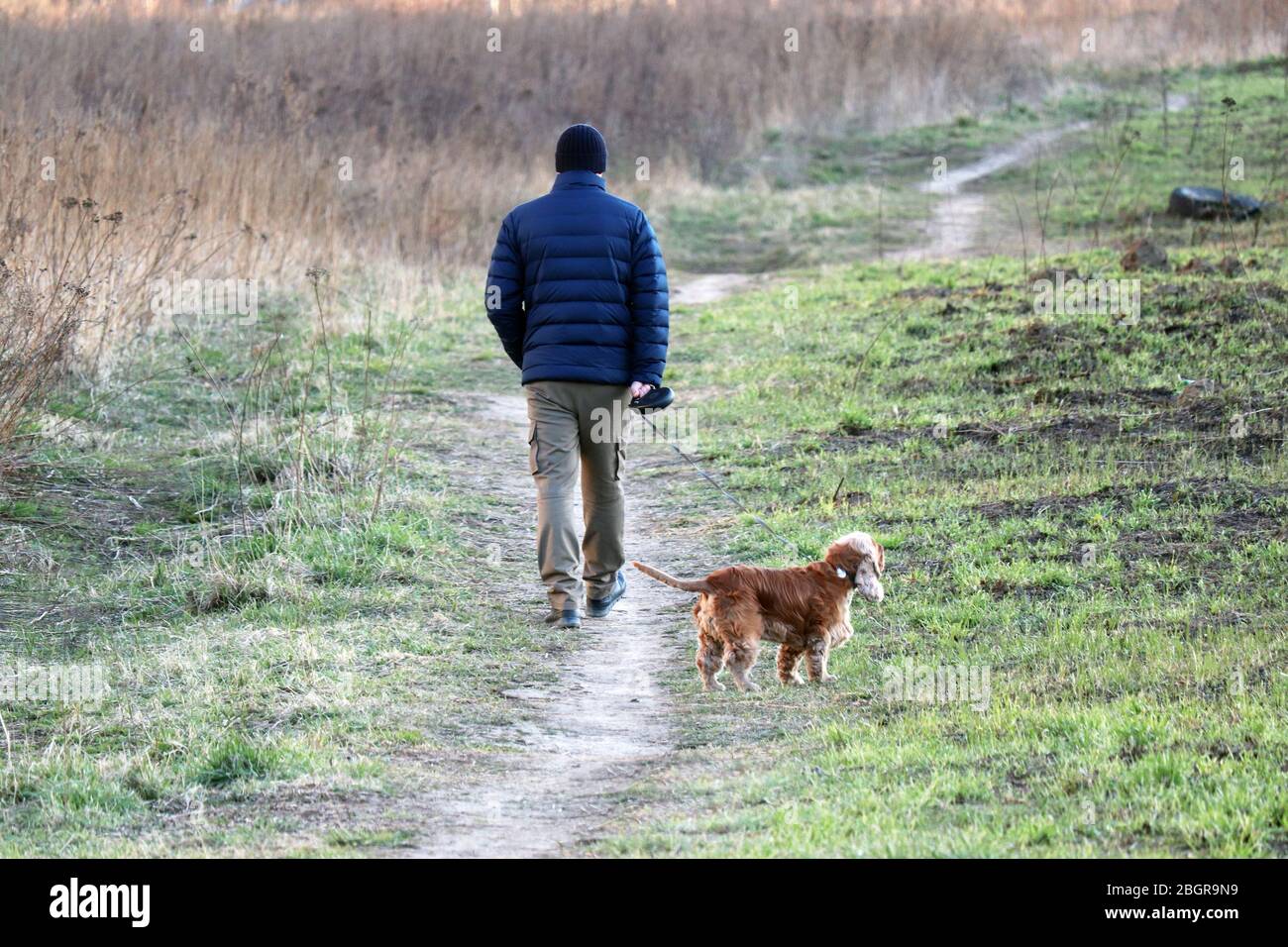 Mann, der einen Hund an der Leine auf der Frühlingswiese läuft. Pflege für ein Haustier während der Coronavirus-Pandemie, Freizeit in der Natur Stockfoto