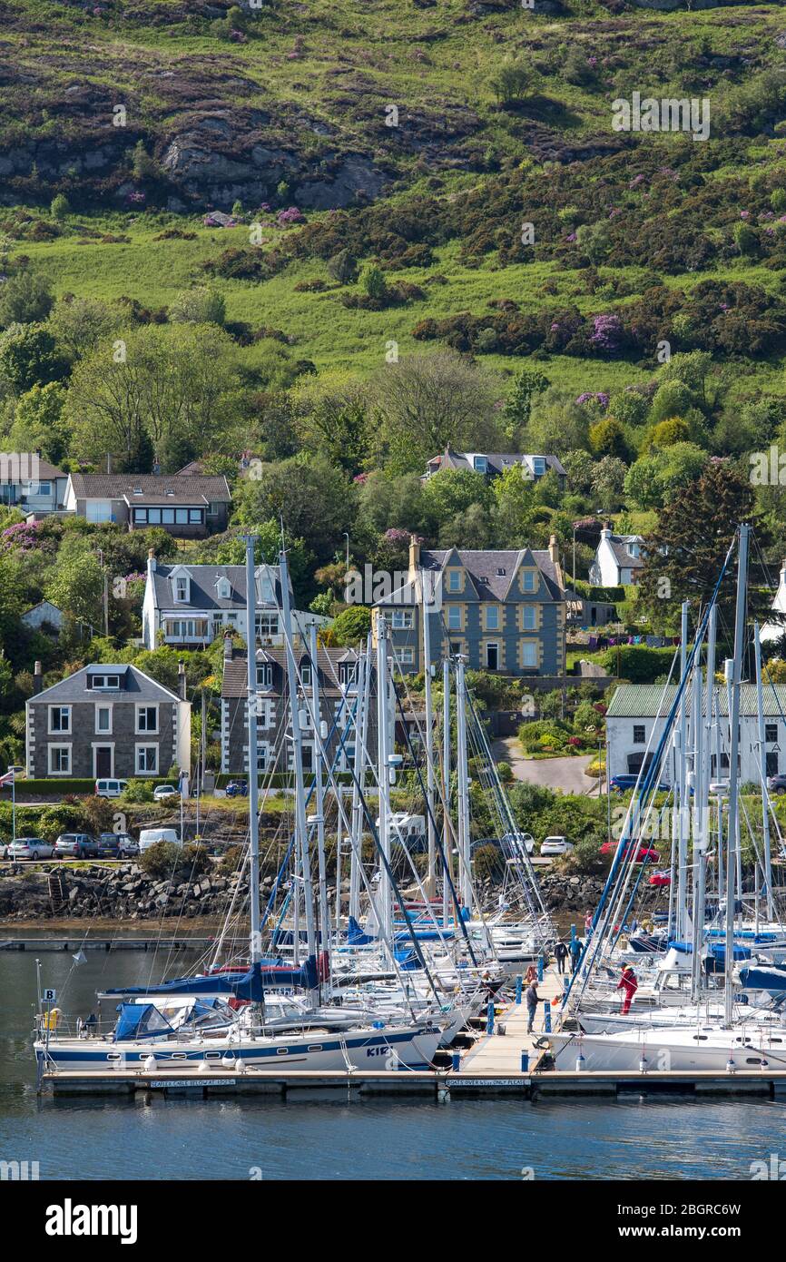Segelboote - Yachten und Sportboote, die in Tarbert Marina im Hafen, Argyll und Bute, Schottland, festgemacht sind Stockfoto