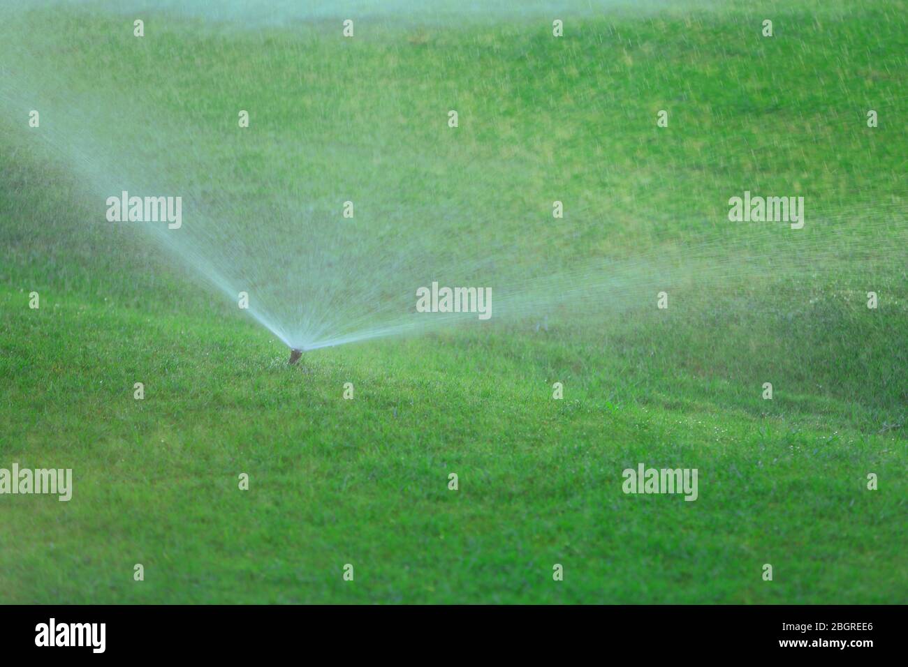 Automatische Sprinkler, die Gras bewässern Stockfoto