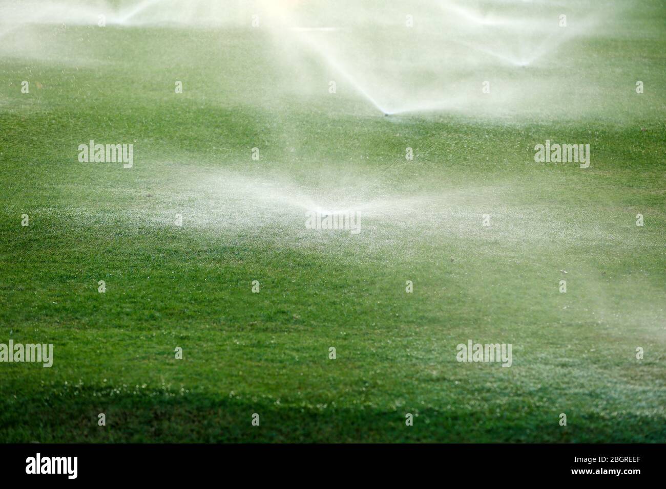 Automatische Sprinkler, die Gras bewässern Stockfoto