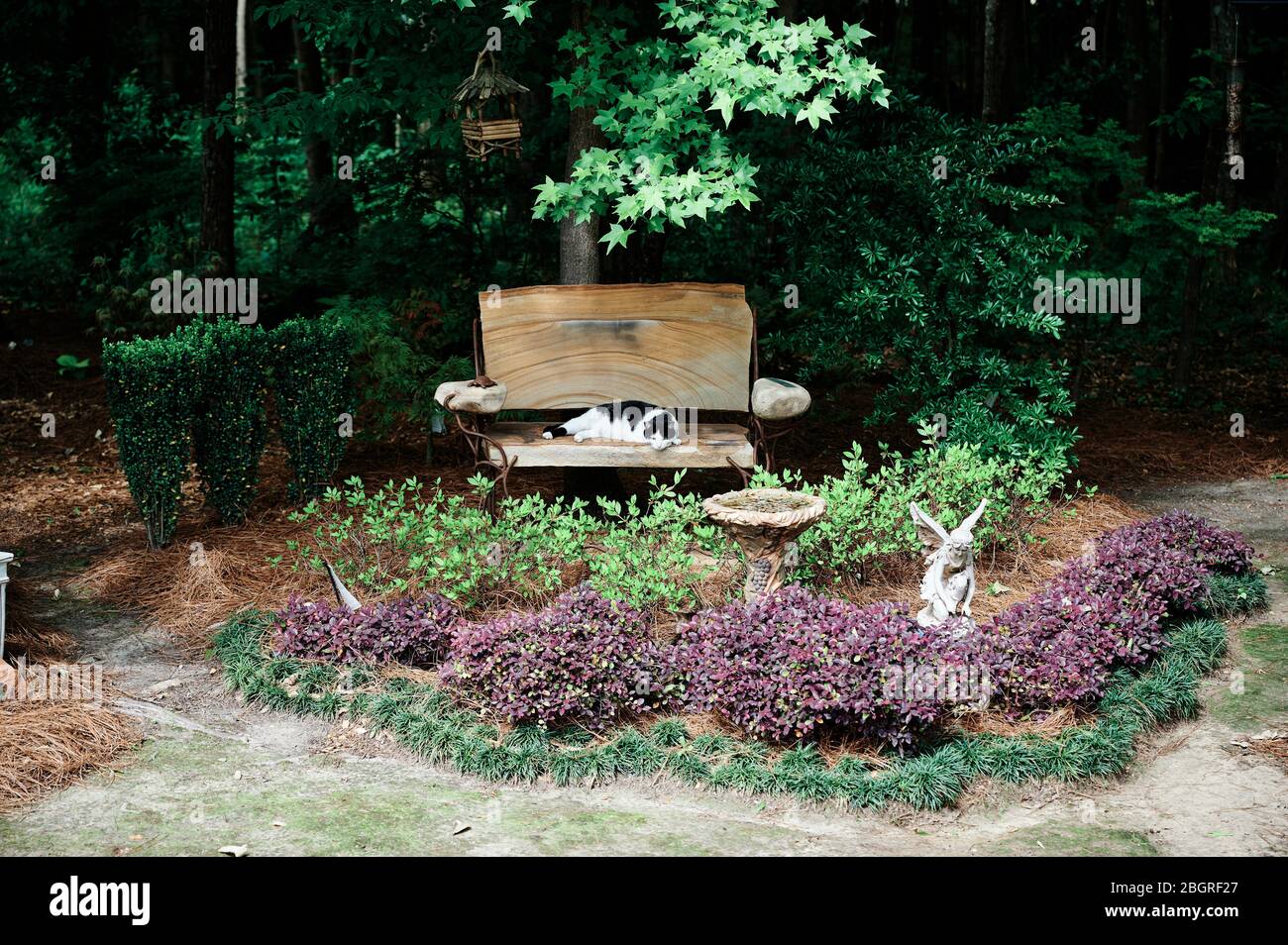Haus oder Haus Garten und Landschaft mit einer Katze auf einer Steinbank in Alabama, USA. Stockfoto