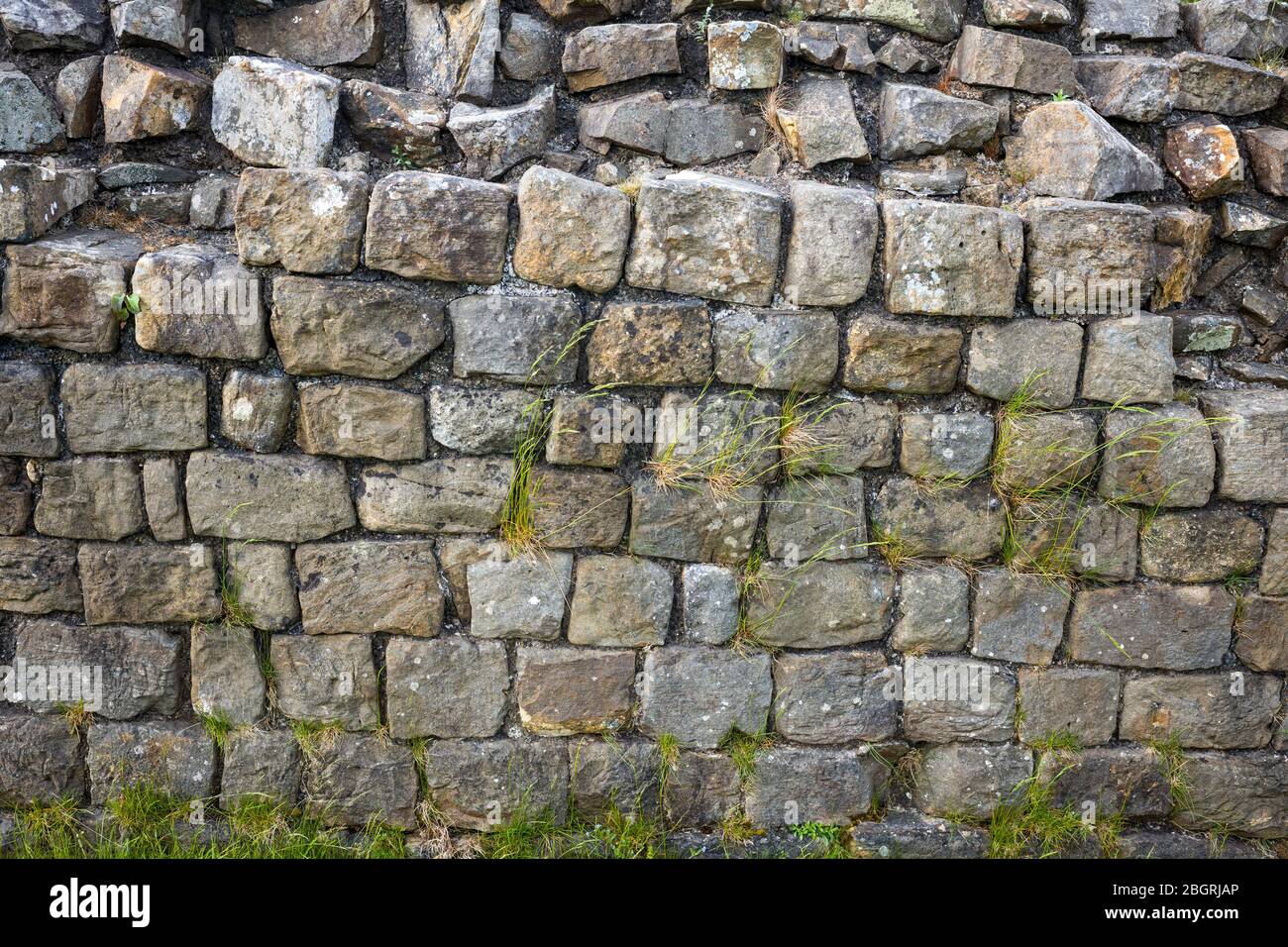 Hadrian's Wall, Blocksteinbaugrenze im Northumberland National Park in Walltown Crags, England Stockfoto