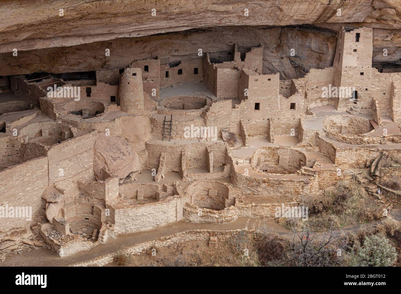 CO00224-00...COLORADO - Klippenwohnungen der Vorfahren Pueblo genannt Cliff Palace im Cliff Canyon, Mesa Verde Nationalpark. Stockfoto