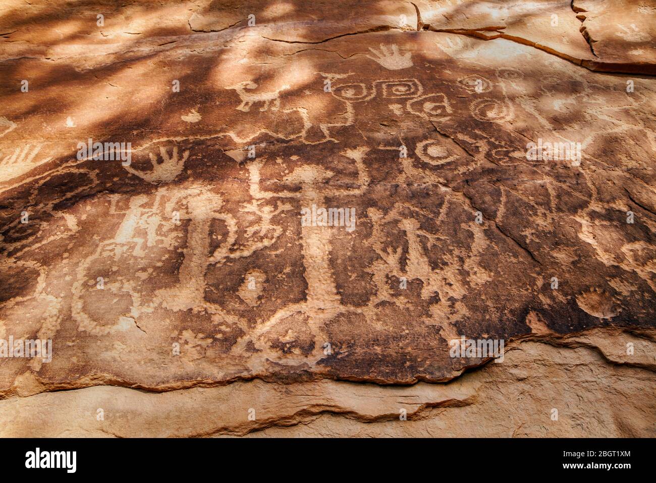 CO00232-00...COLORADO - Petroglyph Panel am Petroglyph Point im Mesa Verde Nationalpark. Stockfoto