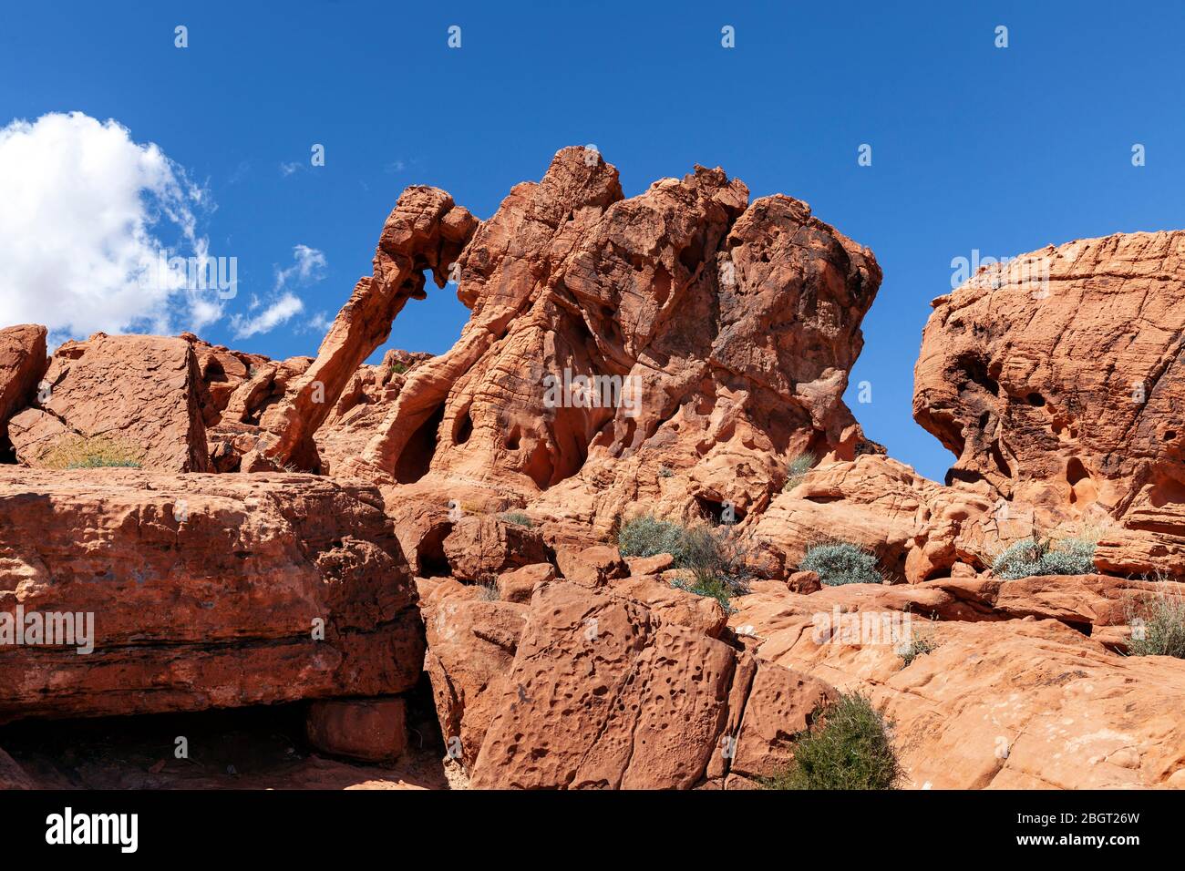 NV00209-00...Nevada - Elephant Rock in Valley Fire State Park. Stockfoto