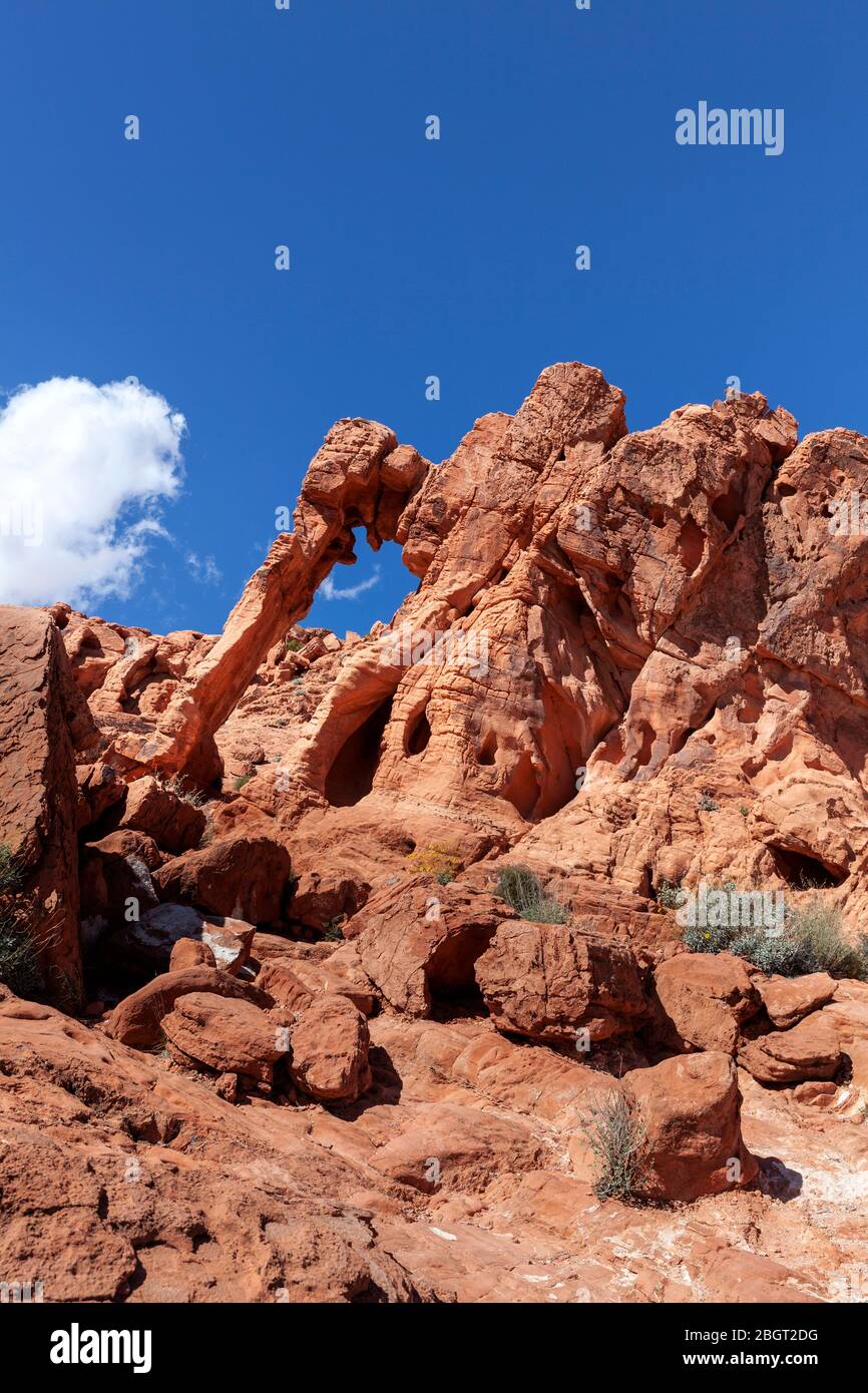 NV00210-00...Nevada - Elephant Rock in Valley Fire State Park. Stockfoto