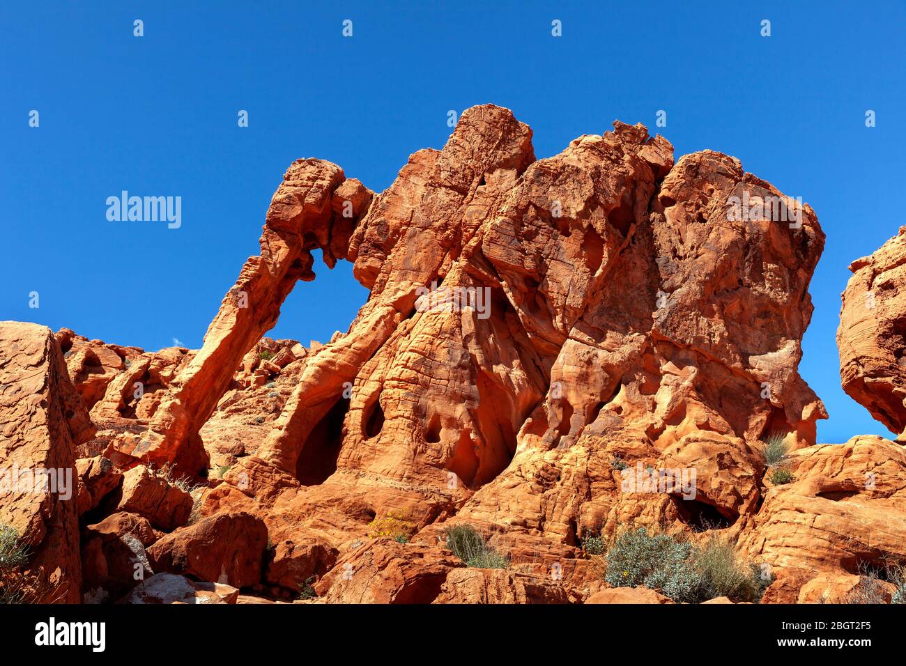 NV00211-00...Nevada - Elephant Rock in Valley Fire State Park. Stockfoto