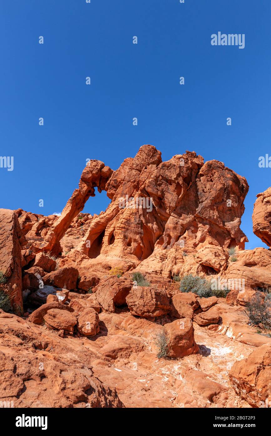 NV00212-00...Nevada - Elephant Rock in Valley Fire State Park. Stockfoto