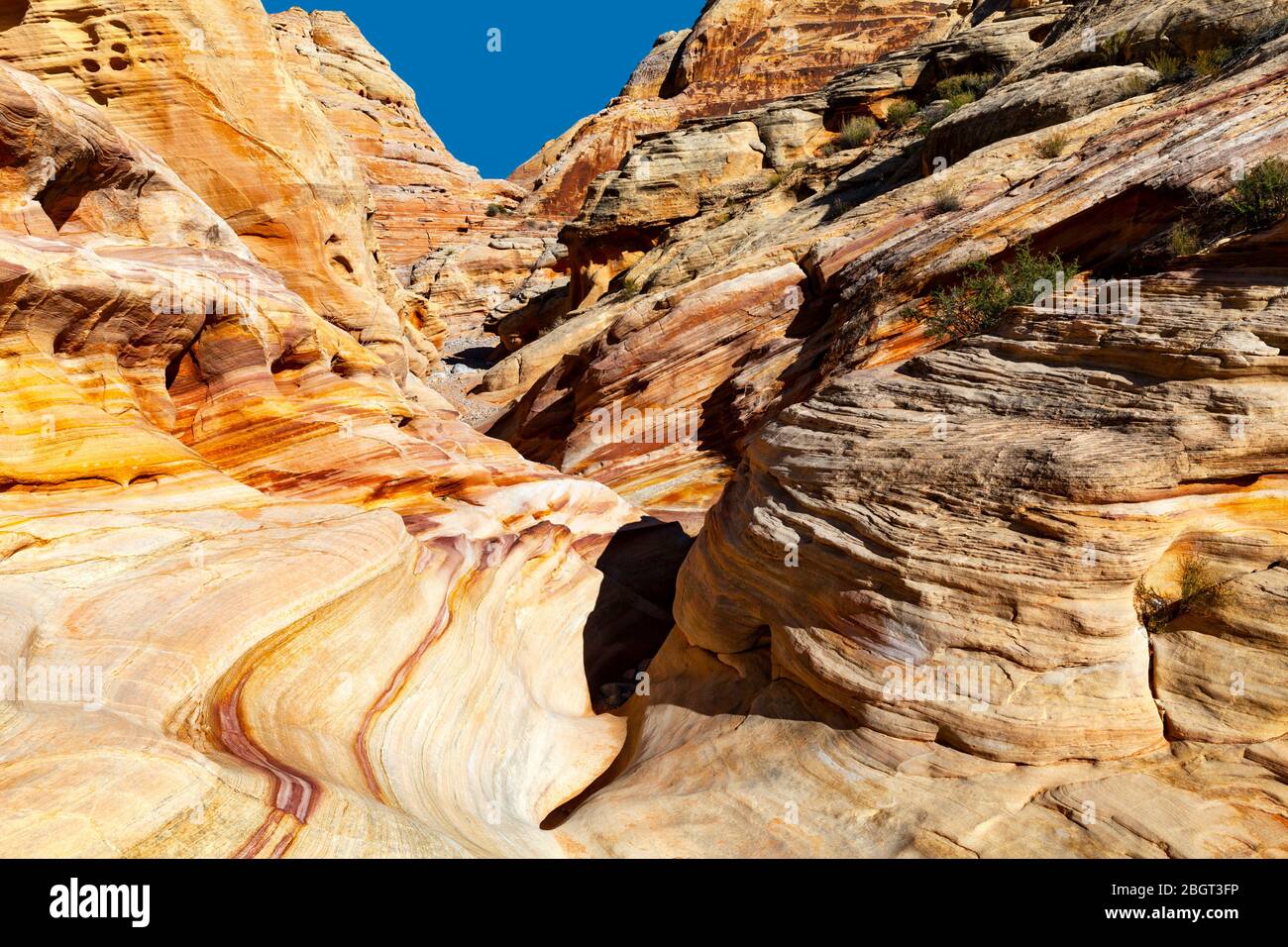 NV00216-00...Nevada -Bunte Felsschichten im Valley Fire State Park. Stockfoto