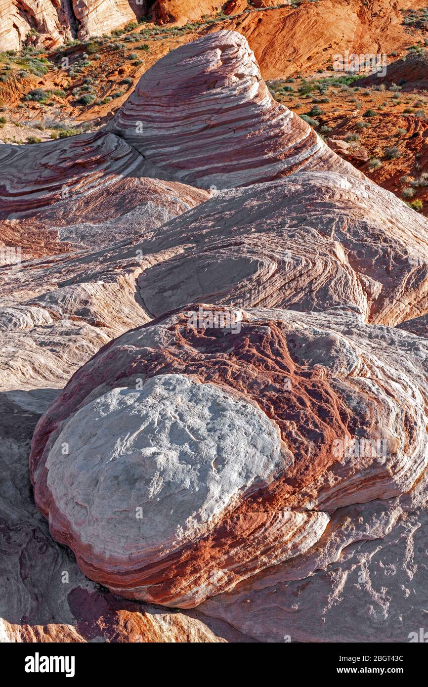 NV00220-00...Nevada - farbenfrohe Felsschichten genannt die Feuerwelle im Valley Fire State Park. Stockfoto