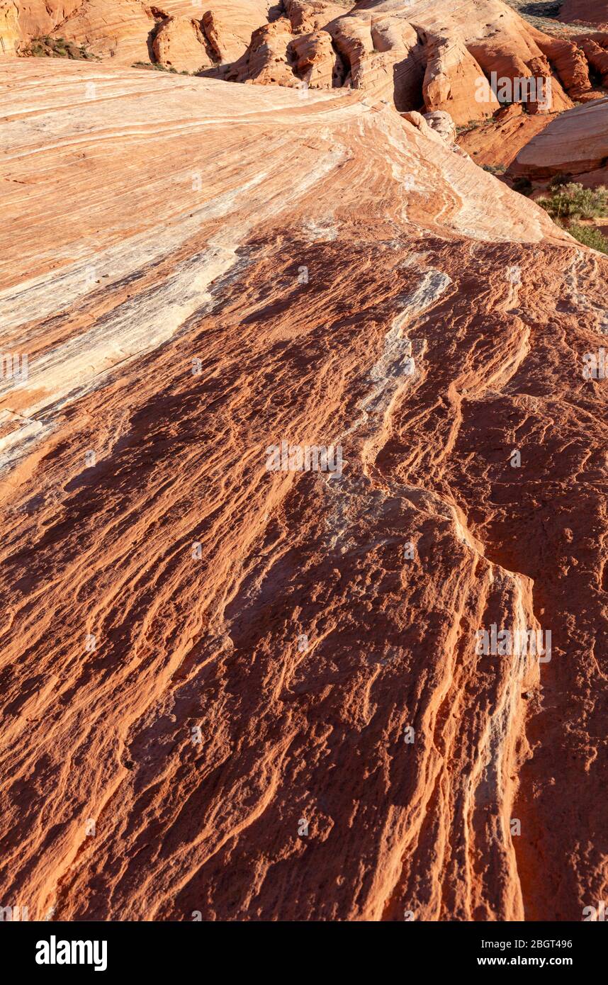 NV00221-00...Nevada - farbenfrohe Felsschichten in der Nähe der Feuerwelle im Valley Fire State Park. Stockfoto