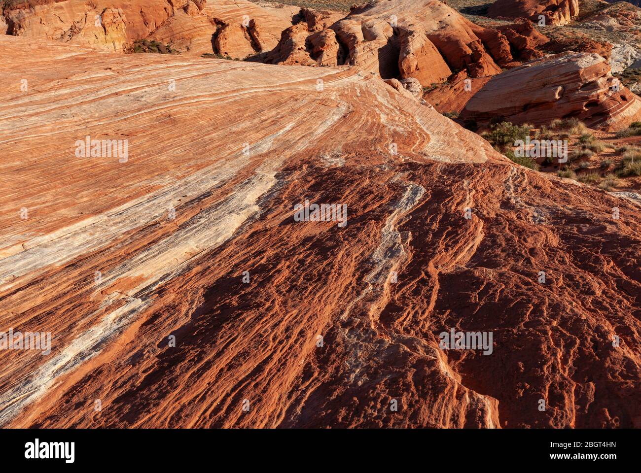 NV00222-00...Nevada - farbenfrohe Felsschichten in der Nähe der Feuerwelle im Valley Fire State Park. Stockfoto