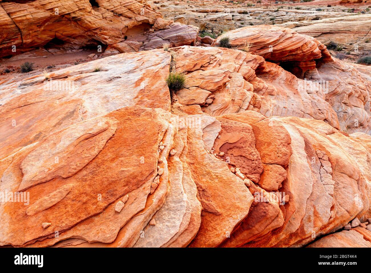 NV00223-00...Nevada - farbenfrohe Felsschichten im Valley Fire State Park. Stockfoto