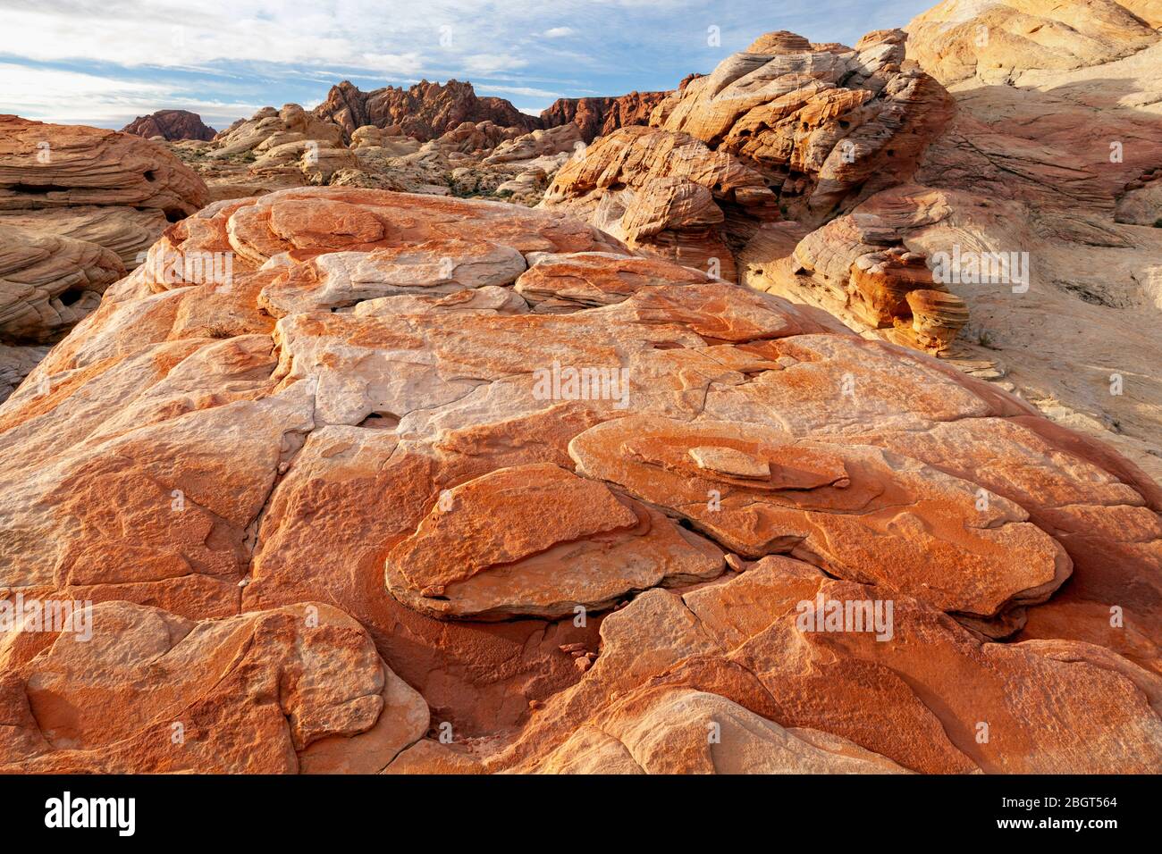 NV00225-00...Nevada - farbenfrohe Felsschichten im Valley Fire State Park. Stockfoto