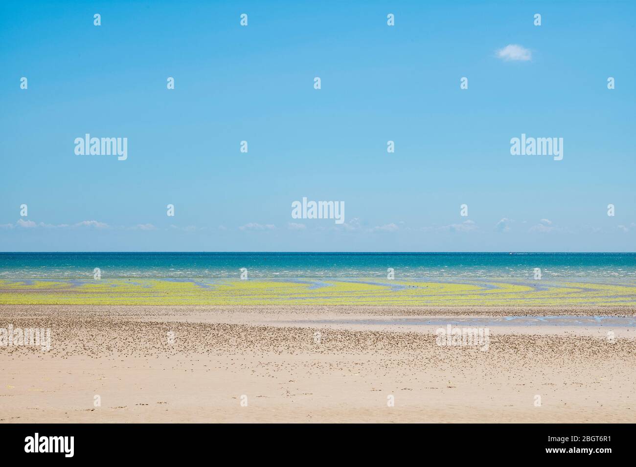 Seetang bildet geometrische kurvige Formen am Sandstrand in St Aubin's Bay, Jersey, Channel Isles Stockfoto