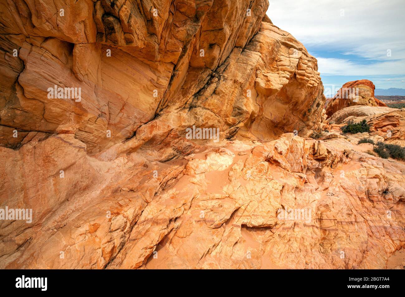 NV00237-00...Nevada - farbenfrohe Felswand im Valley of Fire State Park. Stockfoto