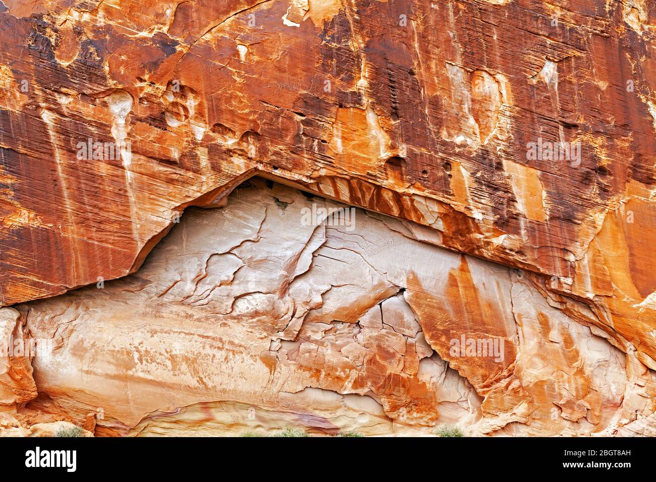 NV00241-00...Nevada - Canyon Wall im Valley of Fire State Park. Stockfoto