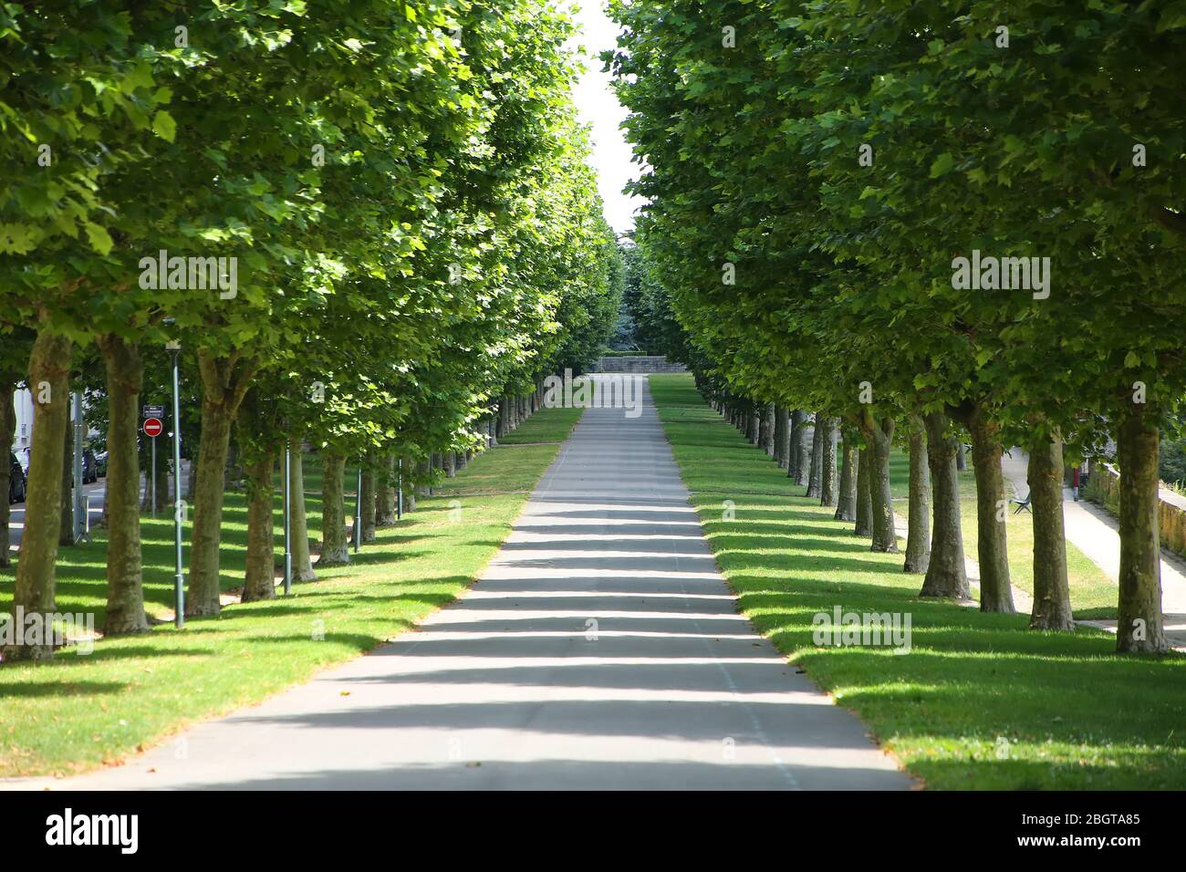 Cours Dajot öffentlichen Garten mit Alleen mit Ulmen gesäumt, Brest, Bretagne, Frankreich. Stockfoto