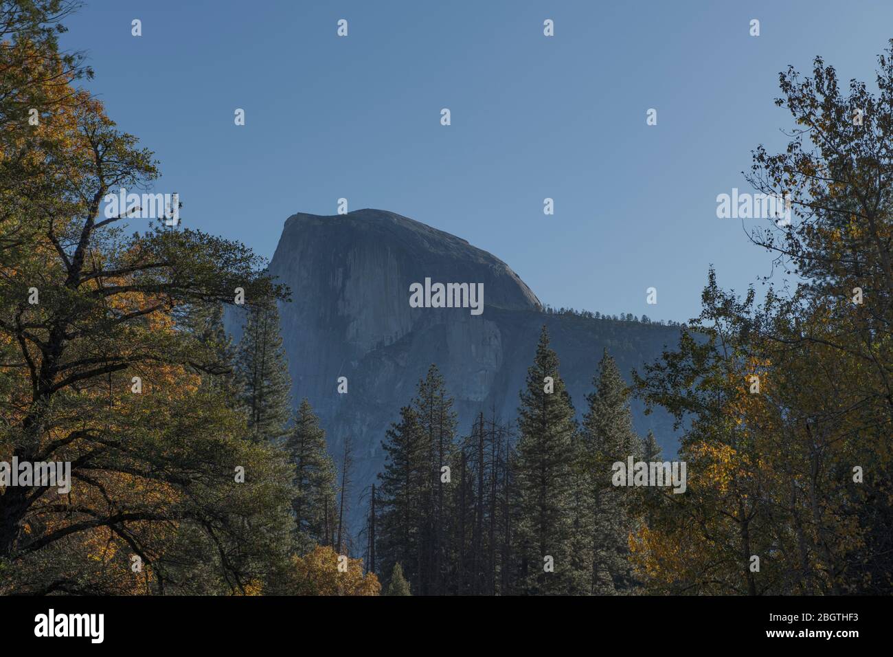Half Dome vom Yosemite Valley Boden im Herbst mit Wald Stockfoto