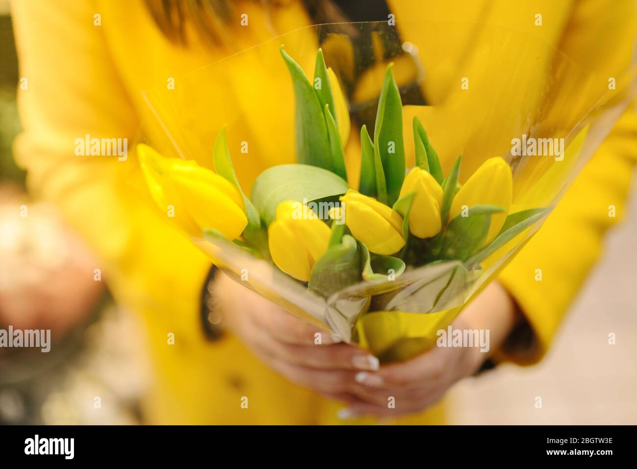 Unerkennbare Frau mit einem Bouquet von gelben Tulpen. Sie erhält einfach Stockfoto