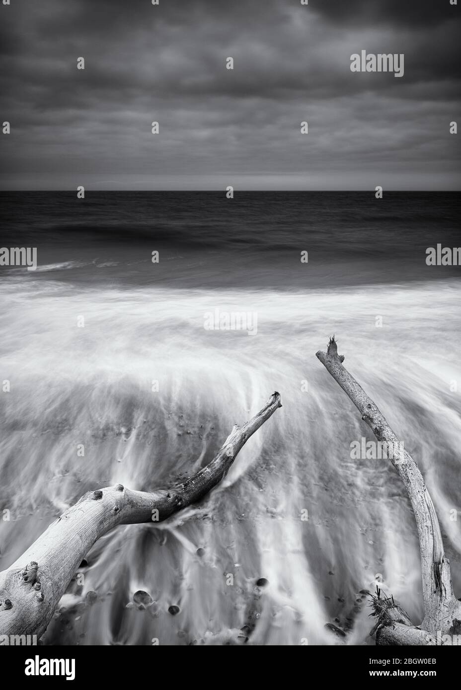 Gefallene Äste am Strand- mono- Covehithe, Mai 2016 Stockfoto