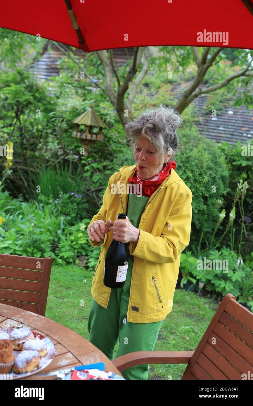 Freunde genießen Tee im Garten mit Sekt Feier Stockfoto