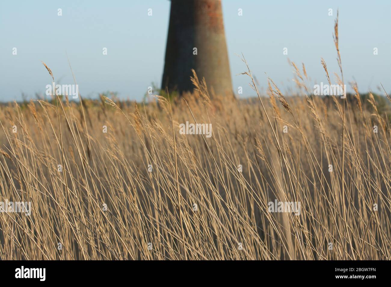 Martham Broad Morning- Martham Broad, Mai 2017 Stockfoto