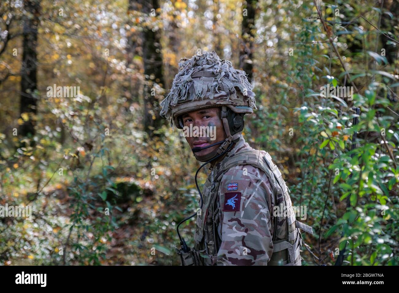 CAYLUS, FRANKREICH - NOVEMBER 15: Französische, britische und amerikanische Fallschirmjäger trainieren gemeinsam im Südfrankreich Wald für die Falcon Amarante Mission, O Stockfoto