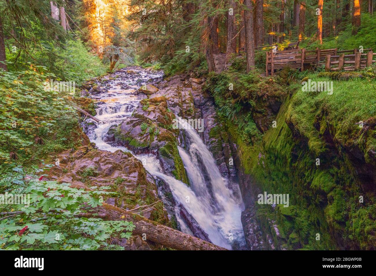 Blick auf die Sol Duc Falls im Herbst. Olympic National Park. Olympic Mountains. Olympic National Forest. Washington. USA Stockfoto