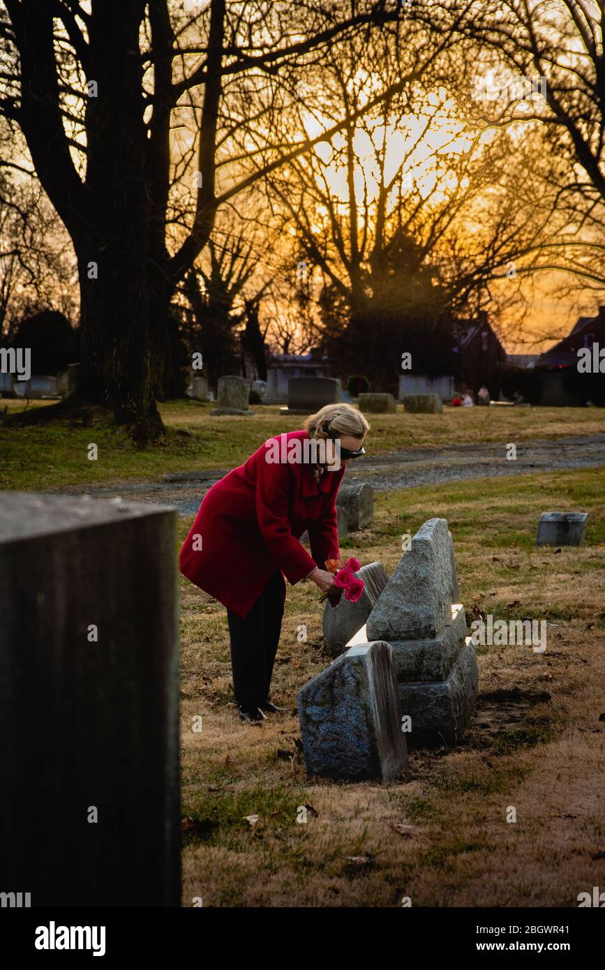 Frau, die Blumen auf den Friedhof legt Grabstein. Stockfoto