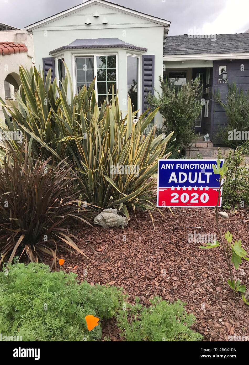 Humorvolles politisches Zeichen vor dem Haus, das "jeden funktionierenden Erwachsenen" bei den Wahlen 2020 in den USA unterstützt. Stockfoto