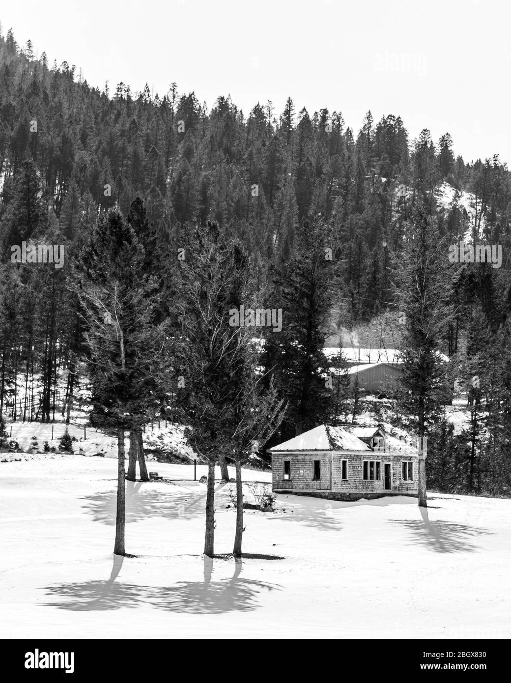 Verlassene verwitterte Haus, umgeben von Feld und einem Wald in der Nähe von felsigen Bergen British Columbia Kanada. Stockfoto