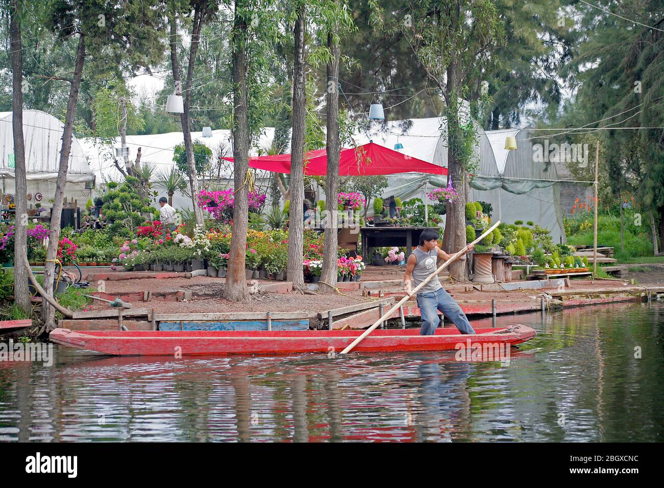 Mann stempeln Boot in der Nähe von Pflanzenkindergarten Xochimilco Kanäle, Mexiko-Stadt, Mexiko Stockfoto