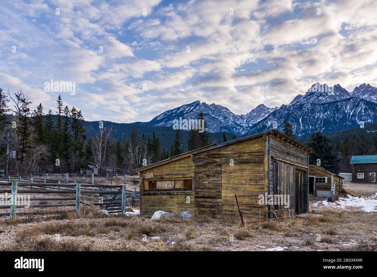 Verlassene verwitterte Scheune, umgeben von Feld und einem Wald in der Nähe von felsigen Bergen British Columbia Kanada. Stockfoto